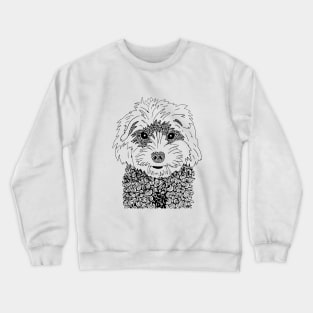 Cavoodle Crewneck Sweatshirt